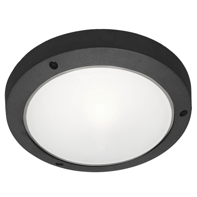 Bright Star BH051 Black Die Cast Aluminium with Frosted Glass Outdoor – main view
