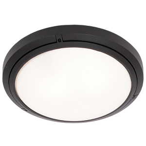 Bright Star BH057/2 Black Die Cast Aluminium with Frosted Glass – main view