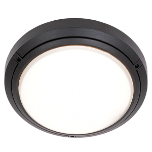 Bright Star BH058/1 Black Die Cast Aluminium with Frosted Glass – main view