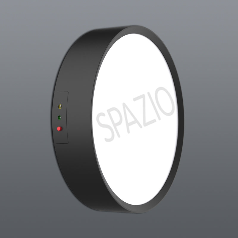 Spazio Only Emergency Black Outdoor Ceiling Light – main view